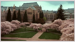 美国华盛顿大学